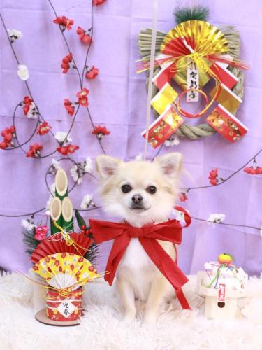 20230121とわくん